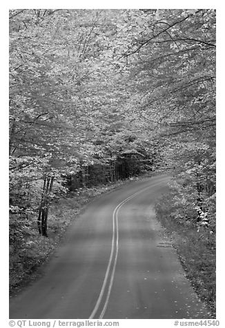 Road near entrance of Baxter State Park, autumn. Baxter State Park, Maine, USA (black and white)