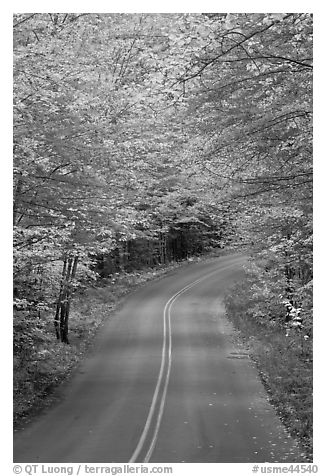 Road near entrance of Baxter State Park, autumn. Baxter State Park, Maine, USA