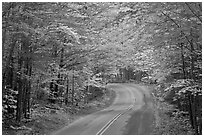 Fall foliage and road near entrance of Baxter State Park. Baxter State Park, Maine, USA ( black and white)