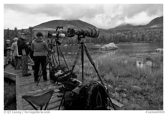 Cameras set up with telephoto lenses, Sandy Stream Pond. Baxter State Park, Maine, USA (black and white)