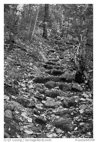 Steep trail paved irregularly with stones. Baxter State Park, Maine, USA (black and white)