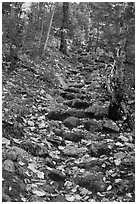 Steep trail paved irregularly with stones. Baxter State Park, Maine, USA ( black and white)