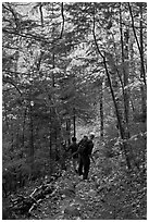 Hikers descend steep trail in forest. Baxter State Park, Maine, USA (black and white)