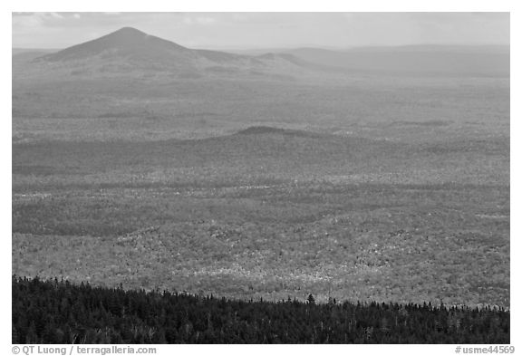 Distant hills rising above forested slopes in fall foliage. Baxter State Park, Maine, USA (black and white)