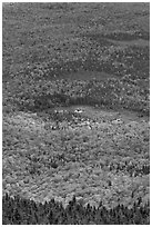 Forest and meadows from above. Baxter State Park, Maine, USA ( black and white)