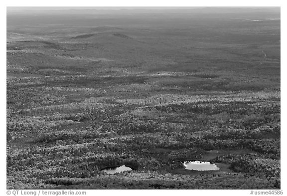 Ponds and forested landscape in autumn with spots of light. Baxter State Park, Maine, USA (black and white)