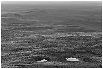 Ponds and forested landscape in autumn with spots of light. Baxter State Park, Maine, USA ( black and white)