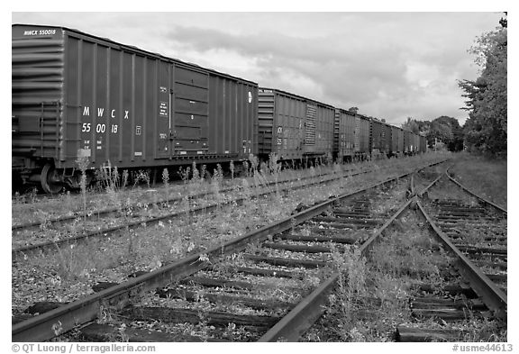 Railroad tracks and cars, Millinocket. Maine, USA (black and white)