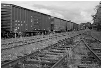 Railroad tracks and cars, Millinocket. Maine, USA (black and white)