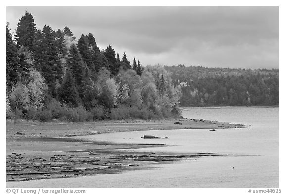 Trees in autumn color on shores of Chamberlain Lake. Allagash Wilderness Waterway, Maine, USA