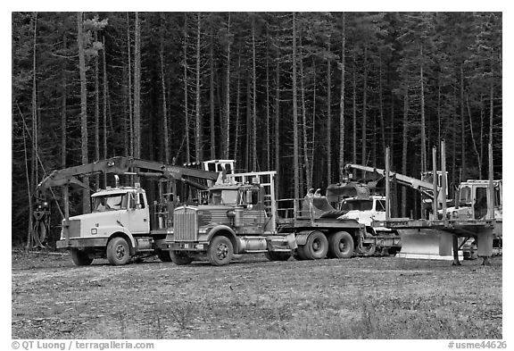 Forestry vehicles in a clearing. Maine, USA (black and white)