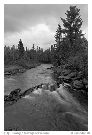 Allagash stream in stormy weather. Allagash Wilderness Waterway, Maine, USA