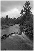 Allagash stream in stormy weather. Allagash Wilderness Waterway, Maine, USA (black and white)