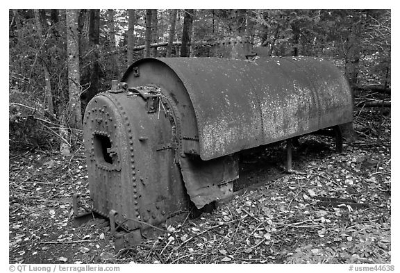 Steam engine remnant in forest. Allagash Wilderness Waterway, Maine, USA (black and white)