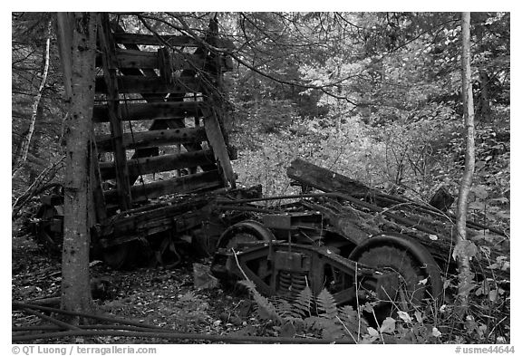 Remnants of railroad cars in the forest. Allagash Wilderness Waterway, Maine, USA (black and white)