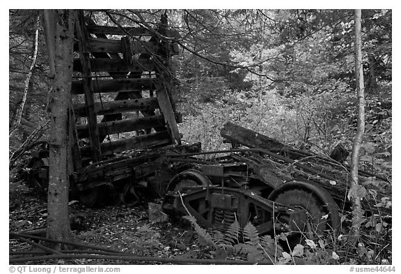 Remnants of railroad cars in the forest. Allagash Wilderness Waterway, Maine, USA