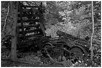 Remnants of railroad cars in the forest. Allagash Wilderness Waterway, Maine, USA (black and white)