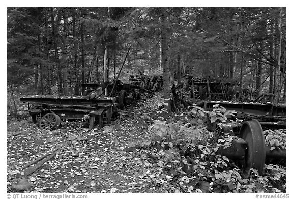 Remnants of abandonned railway equipement. Allagash Wilderness Waterway, Maine, USA (black and white)