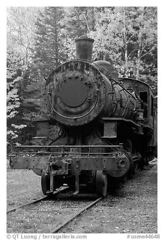 Nose of rusting steamer. Allagash Wilderness Waterway, Maine, USA (black and white)