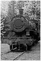 Nose of rusting steamer. Allagash Wilderness Waterway, Maine, USA ( black and white)