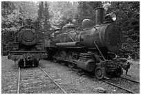 Vintage steam locomotives. Allagash Wilderness Waterway, Maine, USA ( black and white)