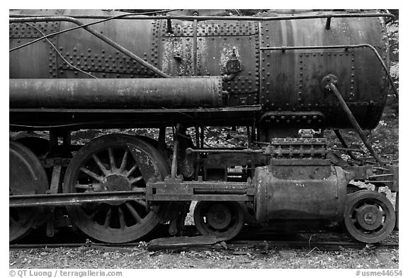 Rusting steamer in the woods. Allagash Wilderness Waterway, Maine, USA