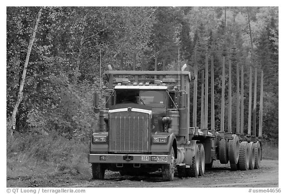 Empty log-carrying truck. Maine, USA (black and white)