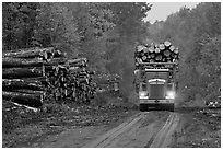 Log truck drives by pile of tree trunks. Maine, USA (black and white)