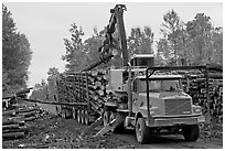 Logging truck loaded by log loader truck. Maine, USA (black and white)