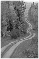 Primitive road through autumn forest. Maine, USA ( black and white)