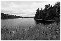 Round Pond from Johns Bridge. Allagash Wilderness Waterway, Maine, USA ( black and white)