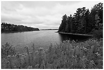 Round Pond from Johns Bridge. Allagash Wilderness Waterway, Maine, USA (black and white)