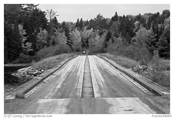 Wood bridge in the fall. Allagash Wilderness Waterway, Maine, USA (black and white)