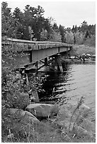 Johns Bridge. Allagash Wilderness Waterway, Maine, USA (black and white)