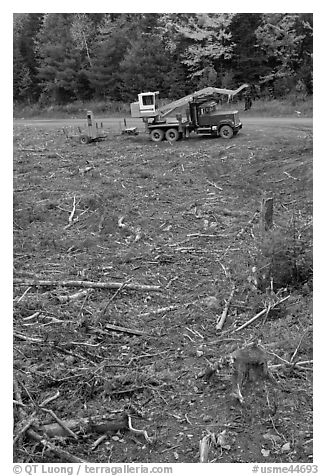 Clearfelt area with forestry truck and trailer. Maine, USA (black and white)