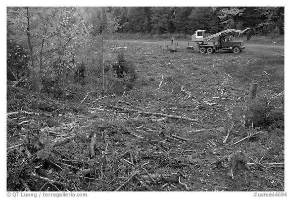 Deforested area and forestry truck and trailer. Maine, USA (black and white)