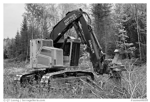 Tracked forest harvester. Maine, USA