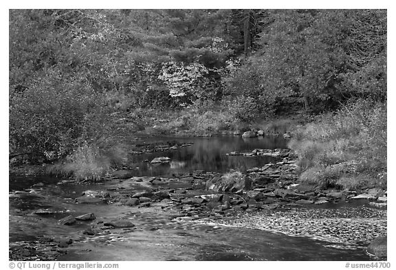 Stream and fall reflections. Maine, USA (black and white)