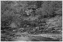 Stream and fall reflections. Maine, USA ( black and white)