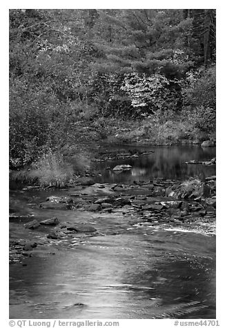 Stream and autumn reflections. Maine, USA