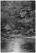 Stream and autumn reflections. Maine, USA (black and white)