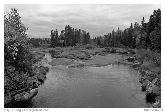 Sand bar, Machias River in autumn. Maine, USA (black and white)