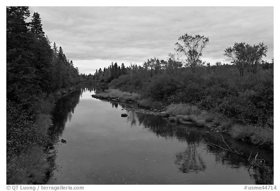 Machias River. Maine, USA (black and white)