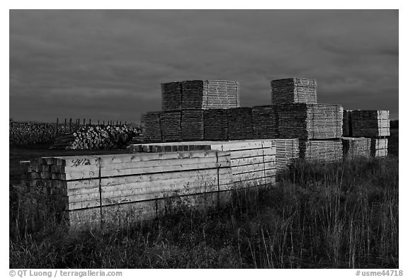 Stacks of finished lumber at dusk,  Ashland. Maine, USA (black and white)