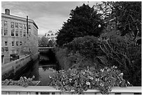 Bridge with flowers over the Kenduskeag stream. Bangor, Maine, USA (black and white)