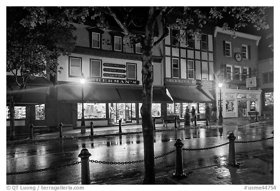 Street with wet pavement at night. Bar Harbor, Maine, USA