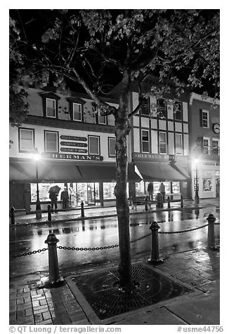 Sherman's bookstore, oldest in Maine, at night. Bar Harbor, Maine, USA