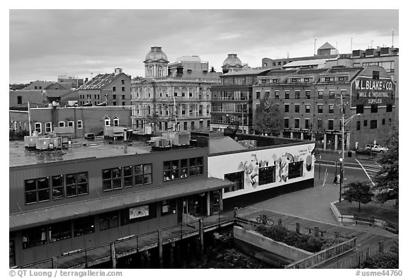 Harbor historic buildings at sunrise. Portland, Maine, USA (black and white)