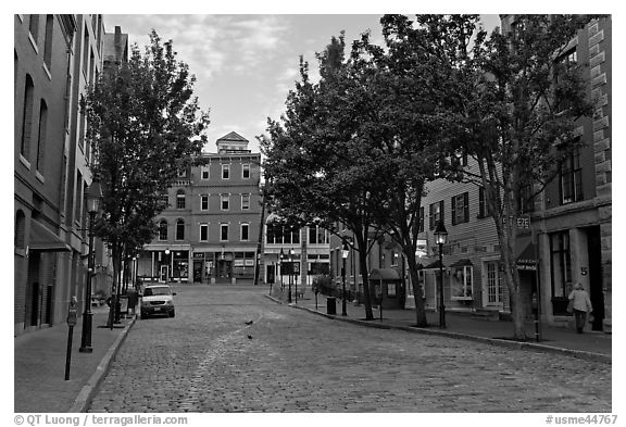 Street with cobblestone pavement. Portland, Maine, USA (black and white)