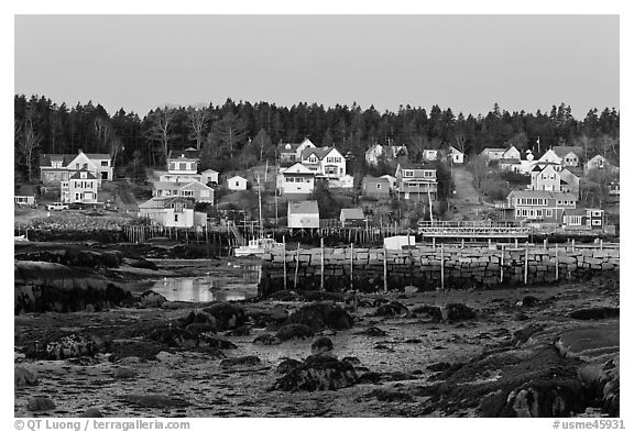 Harbor at low tide, dawn. Stonington, Maine, USA (black and white)
